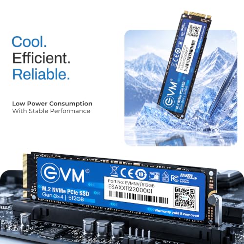 EVM 512GB M.2 NVMe PCIe SSD - Image 6