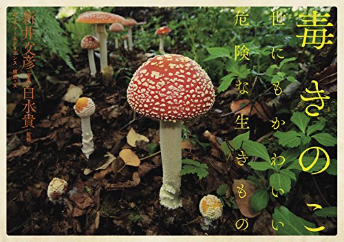 Amazon.co.jp: 白水 貴: 本、バイオグラフィー、最新アップデート