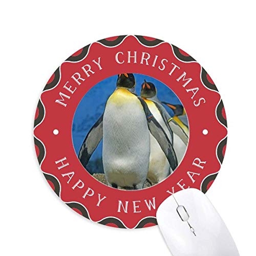 ɂ̃yM͎̑RȊwʐ^ ~`S̃NX}X}EXpbh