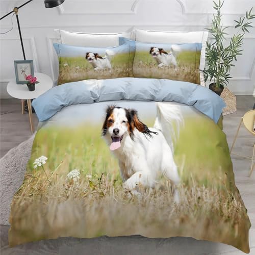 Housse de couette 220x240 avec fermeture éclair parure lit microfibre