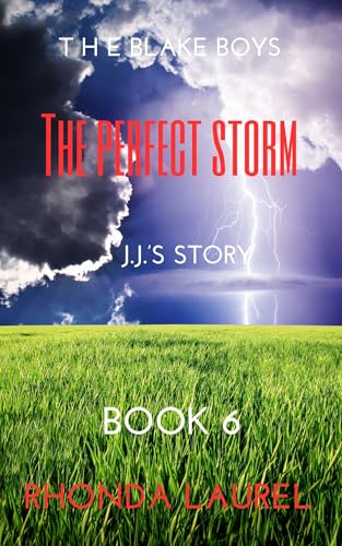 The Perfect Storm (The Blake Boys (20 Books) Book 6)