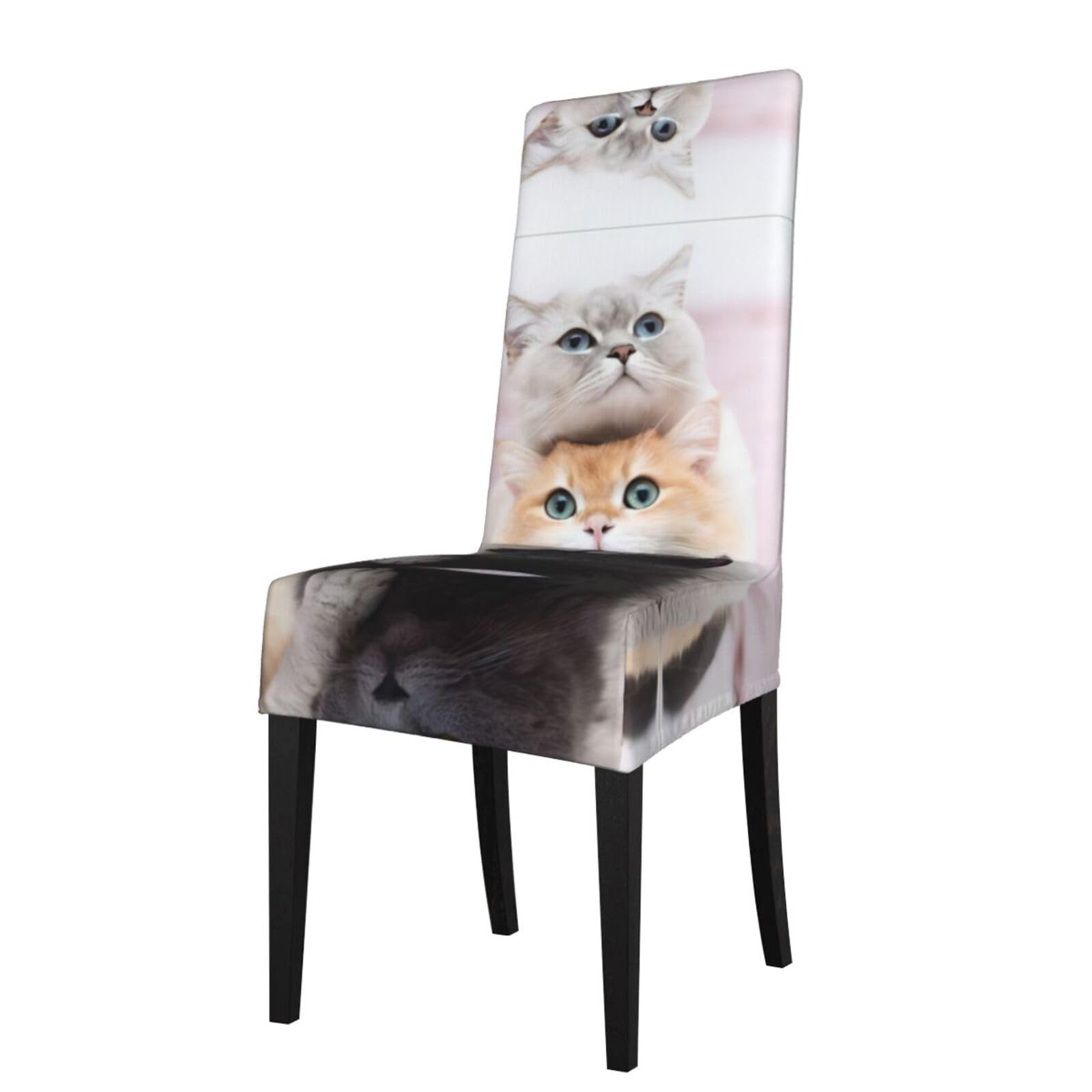 YYHWHJDE Cats Prints Dining Chair Throw Covers – Stretchy & Wrinkle-Resistant Protector for Most Kitchen Chairs – Quick Refresh for Old Furniture