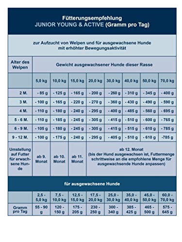 Bosch Hundefutter Life Protection Concept für aktive Hunde