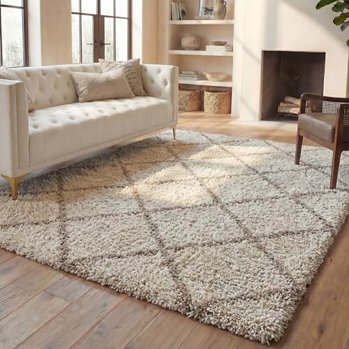 SAFAVIEH Hudson Shag Rug 9x12 Plush Large Multi Ivory & Beige SGH281H