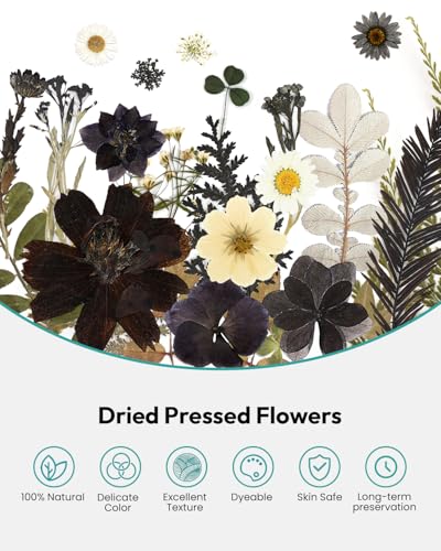 Image of Dried Flowers, Resiners 100Pcs Pressed Flowers for Craft Black Real Natural Dried Flowers Dry Leaves Kit for DIY Making Crafts Resin Soap Candle Scrapbook Supplies Card Making Jewelry