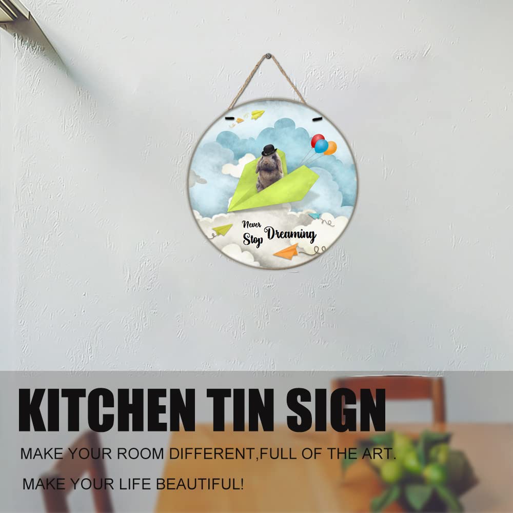 Finamille Inspirational Wall Art -Never Stop Dreaming,Rabbit Shabby Chic Round Sign for Kid's Bedroom Classroom Nursery 12x12 Inches Wooden Door Hanger