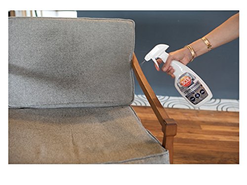 303 (30675) Fabric Stain Guard and Protectant for Home Interior Fabrics, Cushions, Upholstery and Carpets, 16 fl. oz.