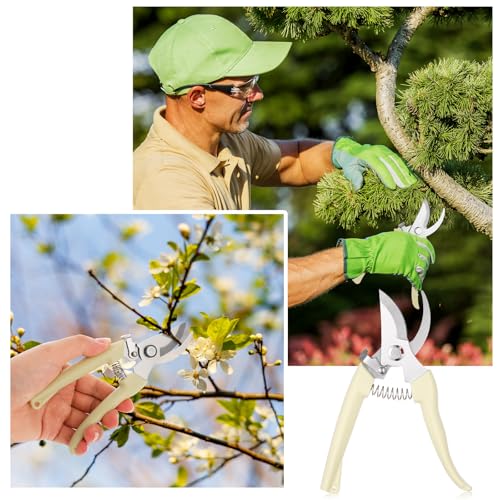 20 tijeras de podar florales para jardín 6.9 pulgadas miniatura 7