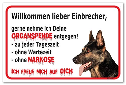 AdriLeo Schild - Vorsicht Deutscher Schäferhund - Willkommen Lieber Einbrecher - (20x30cm) / Achtung Hund Wachhund robust langlebig UV-beständig wetterfestes Warnschild