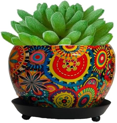 VandituHub Maceta de metal multicolor con platillo para jardín, hogar y oficina hermoso decorativo Asscent