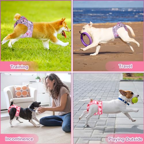 Image of XPCARE Reusable Dog Diapers - 2 Packs Absorbent, Leak-Proof for Female Dogs (Medium)