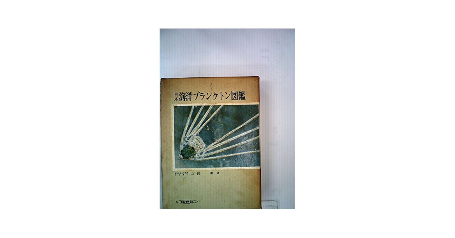 西洋製本図鑑 西洋製本図鑑(ジュゼップ・カンブラス 著 ; 市川恵里 訳 ; 岡本