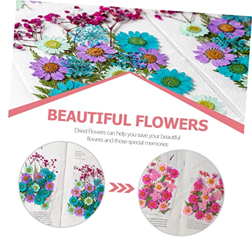 Flores Secas Artesanales 50pcs para Manualidades DIY miniatura 5