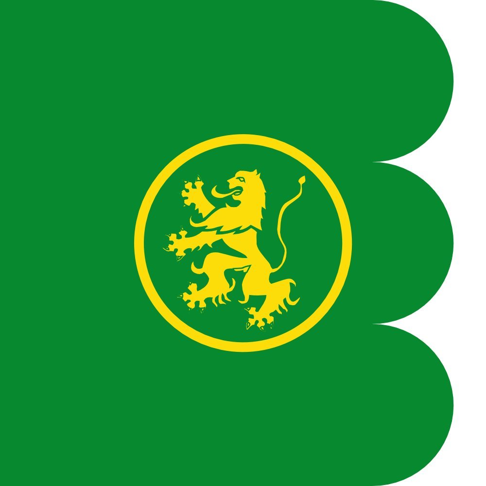 Drapeau Mahamud grand pavillon municipal Castille León