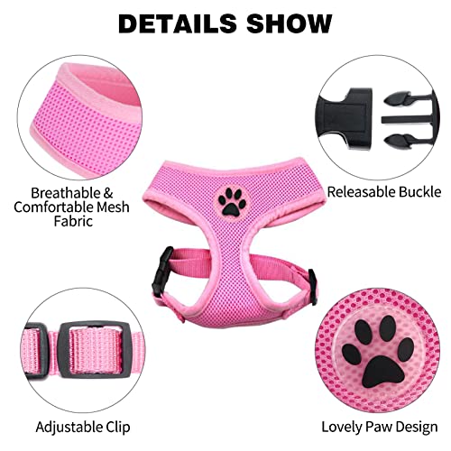 Bingpet Small Dog Harness - Breathable Mesh Puppy Cat Harnesses - No Pull Adjustable Dog Harness Dog Vest Harness For Small And Medium Dogs #TOP2