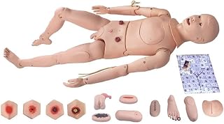 Human Anatomy Nursing Model 170Cm Multi-Functional Patient Care Simulator First Aid Trauma Manikin with Bedsore Module for Training