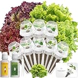 Salad Green Seed Pod Kits for AeroGarden Ahopegarden, iDOO Hydroponics Growing System Indoor Herb Garden, 400+ Seeds, Including American Fast Lettuce, Red Romaine Lettuce(8-Pods)