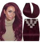 S-noilite Clip in Human Hair Extensions Burgundy 100% Real Human Hair Double Weft Full Head 8 Pie...