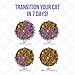 Weruva TruLuxe Cat Food, Steak Frites Dinner with Beef & Pumpkin in Gravy, 6oz Can (Pack of 24)