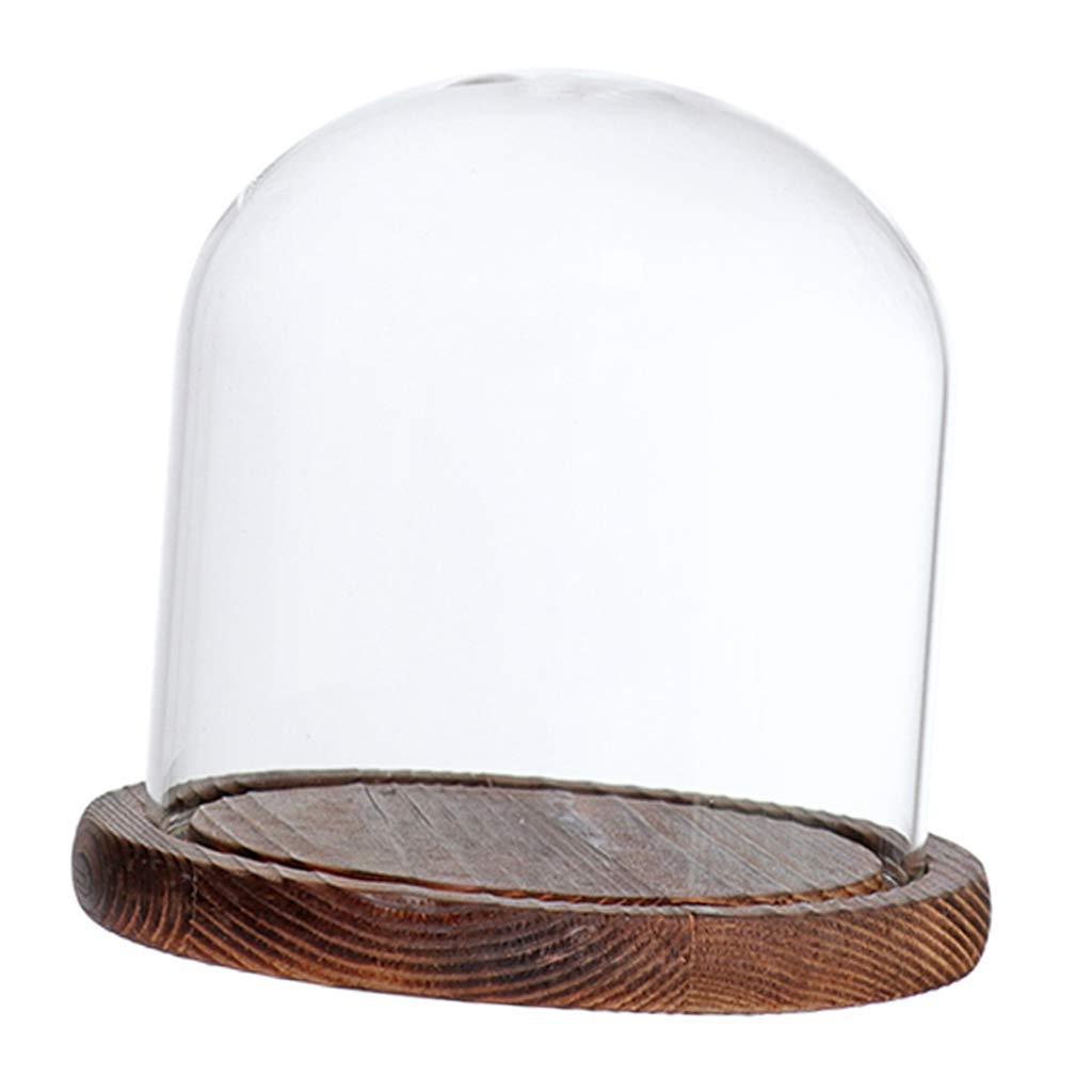 Tenlacum Clear Glass Dome with Wooden Base for Home Wedding Party Centerpiece Display Stand DIY Decor - (Brown E)