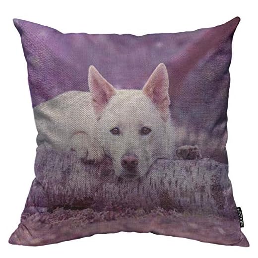 Hund prydnadskudde överdrag vit hund knäböj i bagageutrymmet ögon som stirrar framåt på lila bakgrund dekorativt fyrkantigt örngott för hem sovrum vardagsrum kuddöverdrag 45 x 45 cm