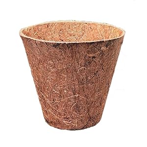 Deepthi Coco Coir Nursery Pots – Biodegradable Peat Pots for Seed Starter and Seedling Kit – Mini Planter Cups for Indoor, Outdoor – Ideal for Organic Planting – 3 Inch Pack of 6
