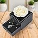 GLAMOUR BOUTIQUE Preserved Real Rose in a Gift Box with Enchanted Flower Gift Set, Gifts for Her, Gift For Mom, Daughter, Wife for Valentines Birthday Graduation - White