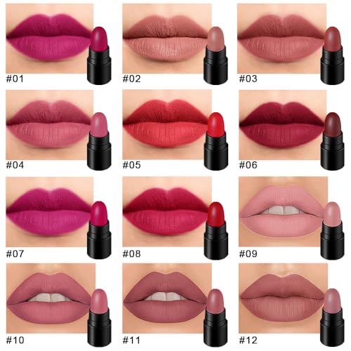 Image of evpct 12Pcs Mini Pills Lipstick Capsule Set for Women Waterproof Long Lasting, Dark Ruby Plum Rose Red Nude Pink Mauve Taupe Brown Matte Small Magic Permanent 24 Hour Lipstick Bulk Samples 01