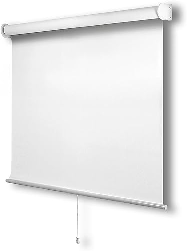 CHICOLOGY - Persianas enrollables, cortinas de ventana, para el hogar, accesorio de ventana, sin cordón, persianas de puerta, biso blanco (opaca),