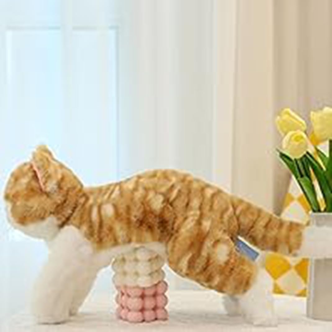 ネコ 猫 リアル 生々しい 茶トラ 抱き枕 もちもちぬいぐるみ 柔らかく 寝具 添い寝枕 癒される 子供 可愛い 気持ちいい A 抱