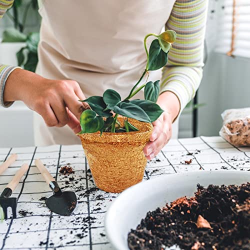 2 Coco | Kit Iniciante Semente Jardim - Pote Turfa Germinação Muda, Vasos Berçário Fibra Coco para P