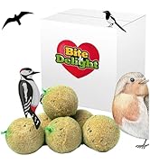 Boules de Graisse pour Oiseaux - 10 Boules x 500g de Nourriture Riche en Nutriment...