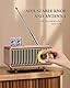 COLSUR Retro Bluetooth Lautsprecher Outdoor Tragbarer Vintage mit FM Radio Wiederaufladbarer Kabelloser mit klassischem Retro-Stil, unterstützt TF-Karte/AUX/USB, MP3-Player
