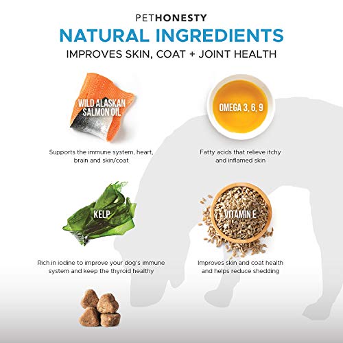 When Do Dogs Shed the Most What You Need to Know