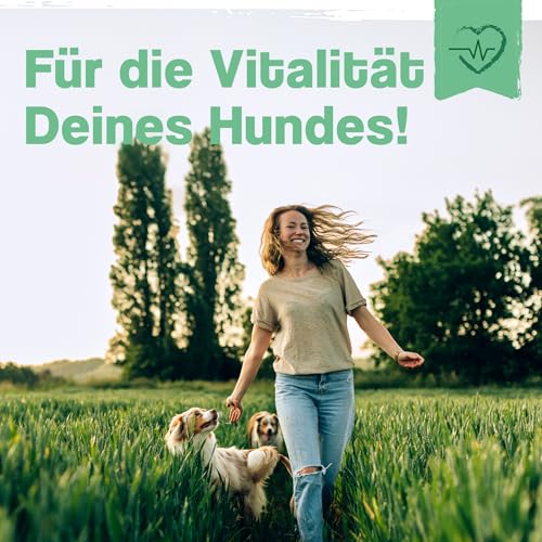 ida+ – Barf Perfect 400g – Barf Mineralien für Hunde – Magnesium - Barf Zusatz Hund Komplett - Zink - Calcium - Barf Pulver - Barf Zusatz Futter - Gelenke
