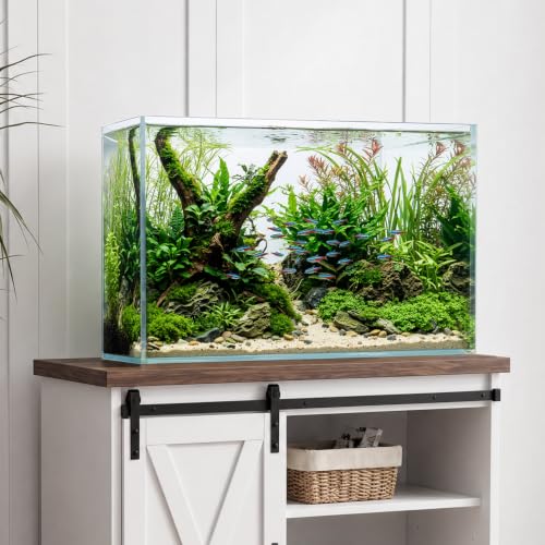 Image of 30 Gallon Rectangular Fish Tank, Rimless Ultra Clear Nano Aquarium