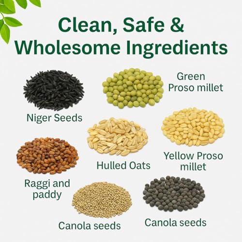 Image of Boltz Premium Sparrow Food, Natural Mix of Seeds & Grains, Daily Nutrition for House Sparrows & Wild Birds, Rich in Protein, Fiber & Vitamins, Clean, Fresh & Easy to Digest (450 Gram)