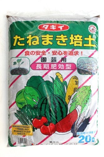 ルバーブの育て方 プランターで育てる場合の注意点３点 Farm Horie
