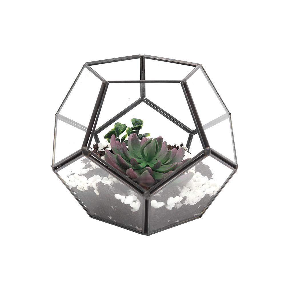 Zanvic Rato Jardinera, Blanco, 60X25X46 cm: Amazon.es: Jardín