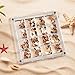 16 Grids Acrylic Display Box - Clear Shadow Box for Seashell, Rock, and Thimble Collection, Mini Trinket Shelf Organizer for Collectors