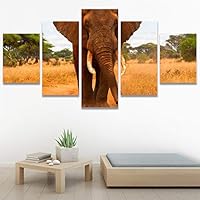 SIGNWIN 5 Panel Canvas Wall Art Modern Art Animals Dramatic Giraffe Lion Multicolor Photography Southwest for Home Decorations Ready to Hang - 60