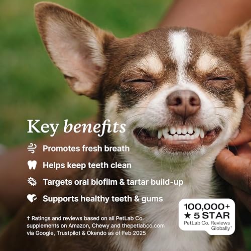 Image of PetLab Co. ProBright Dental Powder - Dog Breath Freshener - Teeth Cleaning Made Easy - Targets Tartar & Bad Breath - Formulated for Large Dogs - Packaging May Vary