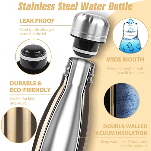 Image of Sfee Insulated Water Bottle, 17 oz Stainless Steel Water Bottles, Double Wall Vacuum Reusable Water Bottles Leak Proof BPA-FREE Sports Bottle Cup Keep Hot&Cold for Running Gym Workout Cycling Kids