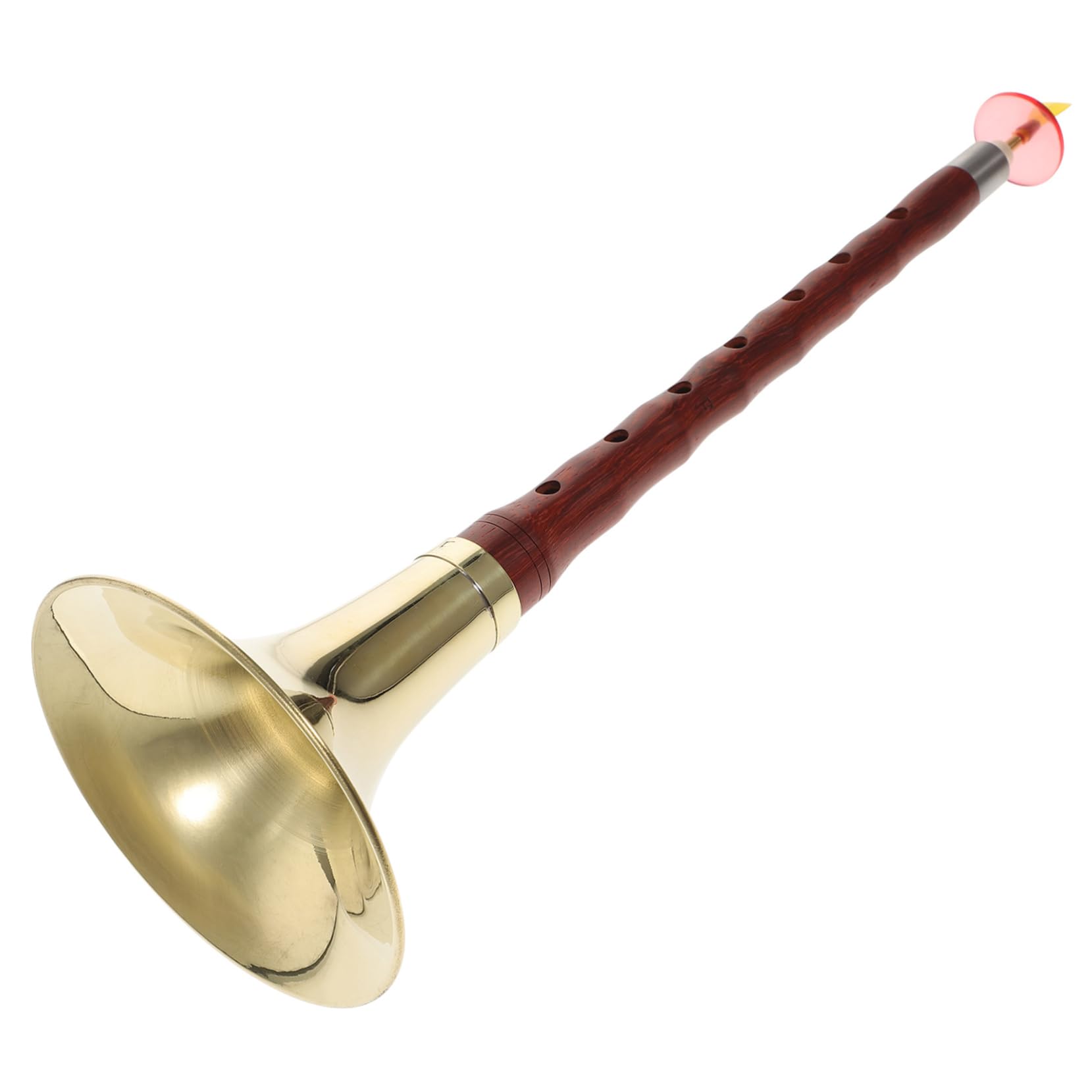 BESPORTBLE Professional Suona in f Key Traditional Chinese Reed Instrument Ethnic Wind Instrument for Beginners Random Color