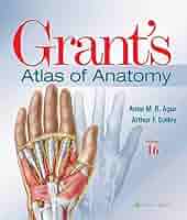 健康・医学 Grant's ATLAS OF ANATOMY 51Oa2r38aUL._SY200_QL15_.jpg