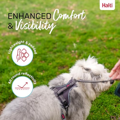 Image of Halti Anatomy Dog Harness with Handle | Size L, Grey | Padded, Adjustable & Reflective No Pull Dog Harness, 3 Leash Attachment Points including Front Clip, Suitable for Large Dogs