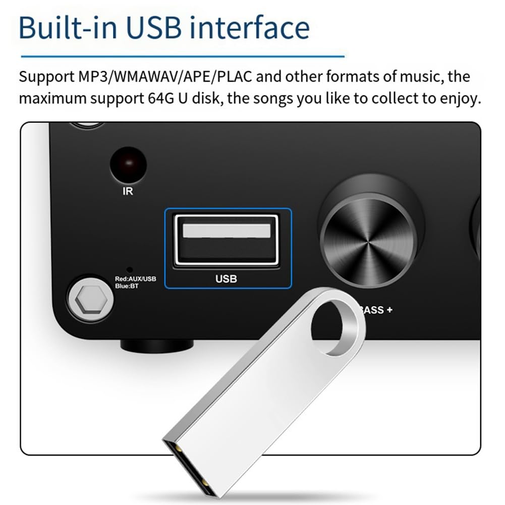 Malloy TPA3116 Bluetooth 5.3 Cyfrowy wzmacniacz HiFi Stereo Wzmacniacz audio Dekoder USB 50 W + 50 W Łatwy w użyciu A