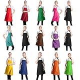 TSD STORY Total 15 PCS Mixed Plain Color Bib Aprons Bulk for Women Men Adult with 2 Front Pockets Chef Cooking Painting Baking(12colours ,15pcs)
