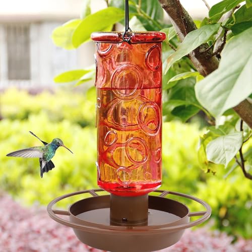 Juegoal Glass Wild Bird Waterer, 28 oz Wild Bird Feeder for Outdoors, Water Cooler with Metal Handle Hanging for Garden Tree Yard Outside Decoration, Red - Image 6