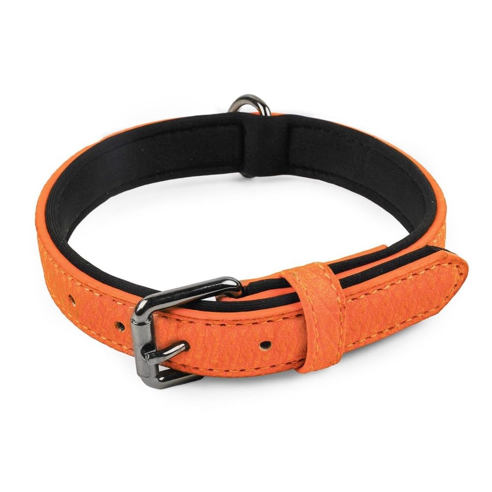 Leather Dog Collar, Soft Padded Leather Collar with Adjustable Metal Buckle for Puppies Small Medium Large Dogs